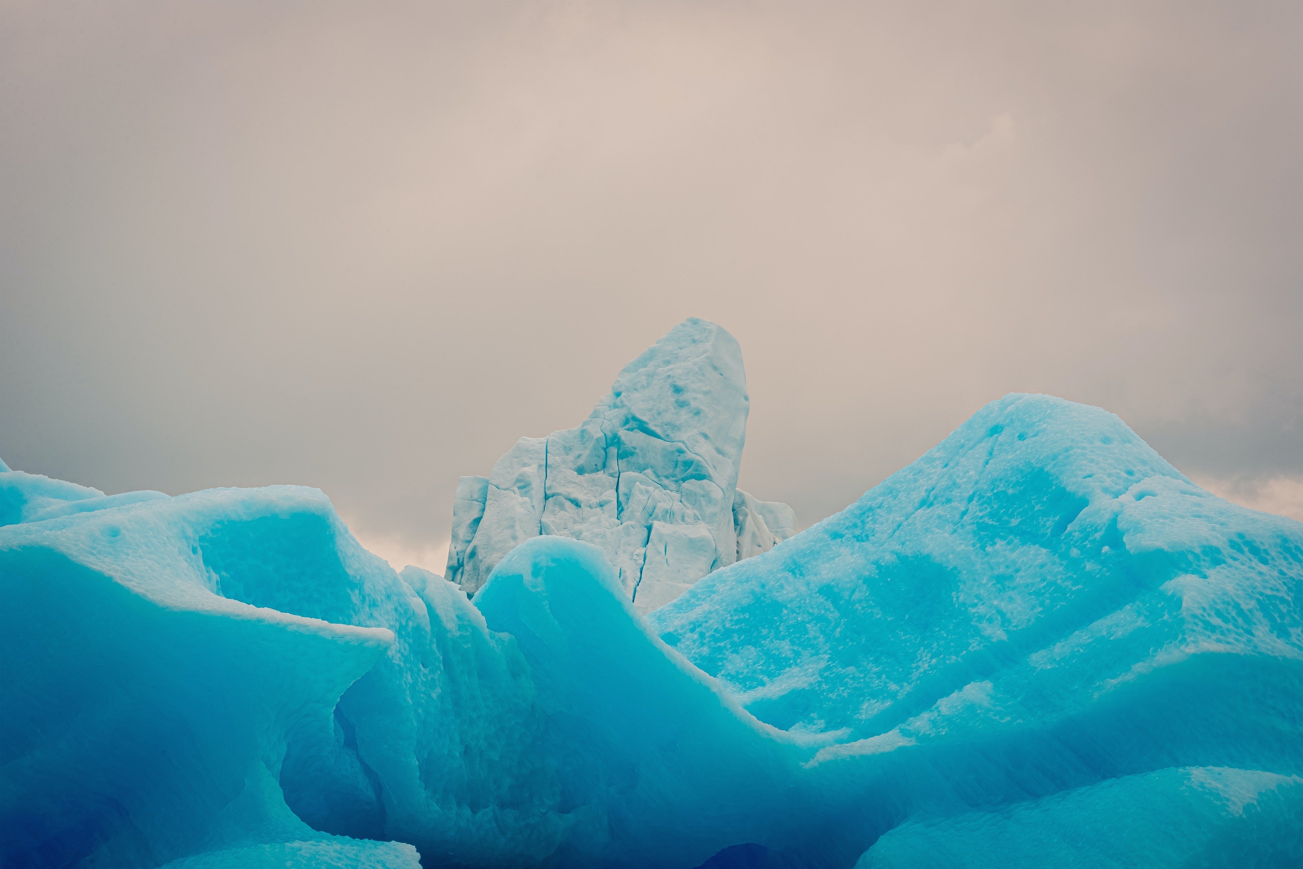 Our 100% carbon neutral journey