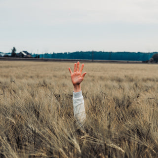 8 things you didn’t get taught in school that are keeping you trapped-Pineapple Island