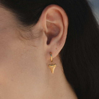 Shark Tooth Hoop Earrings - Pineapple Island