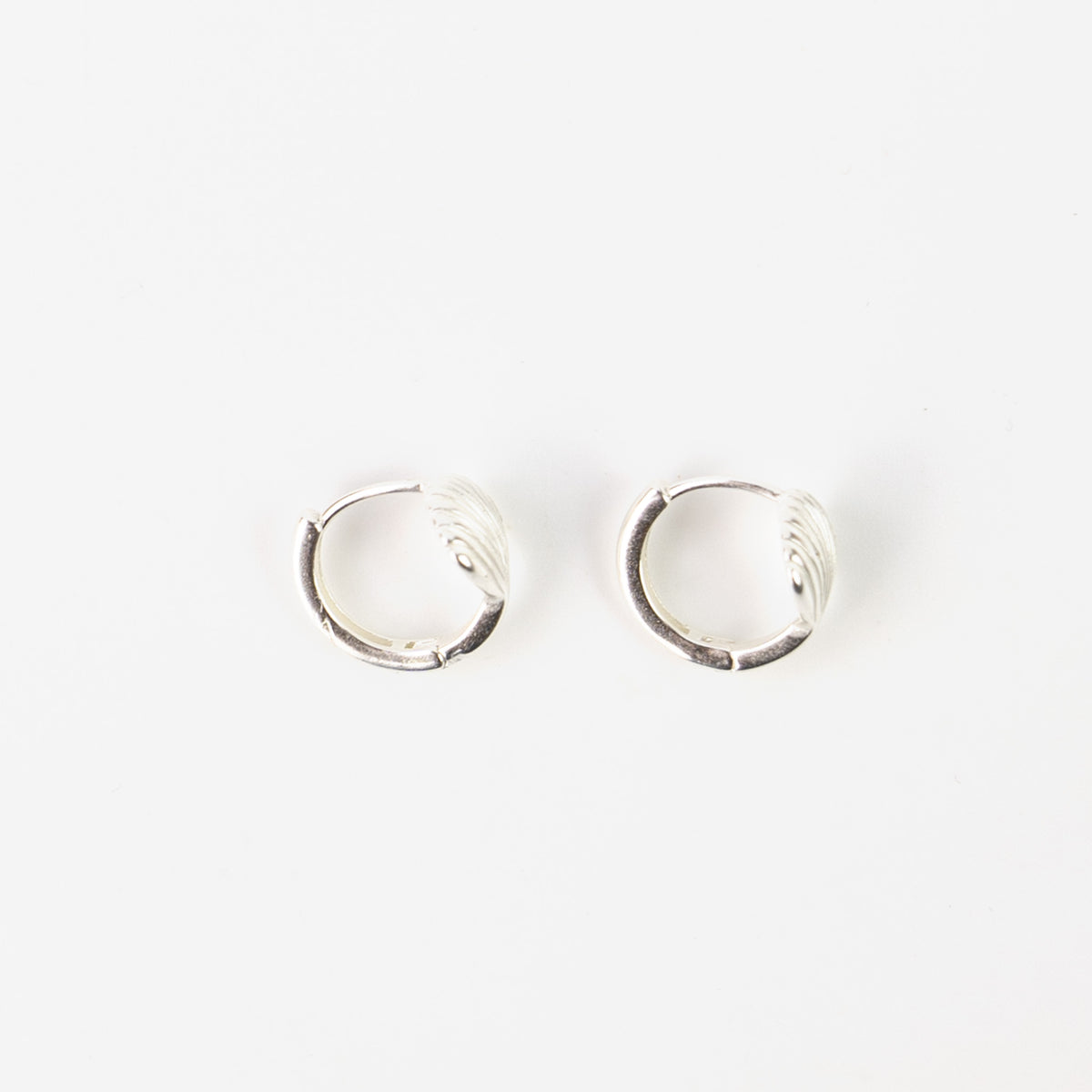 Earrings 2501