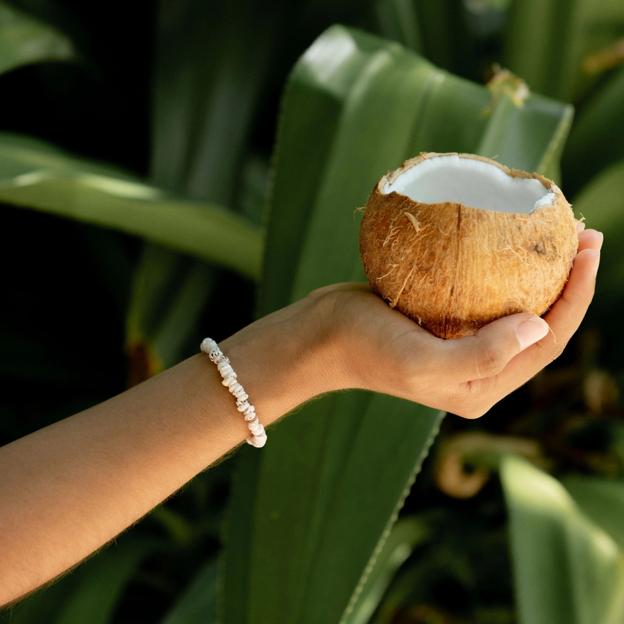 Enu Island Shell Bracelet - Pineapple Island