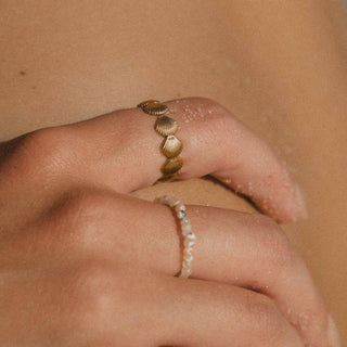 Golden Shell Ring Duo Set - Pineapple Island
