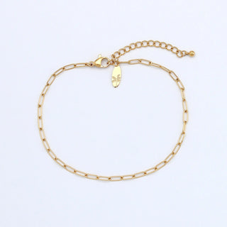 Paperclip Waterproof Chain Bracelet - Pineapple Island