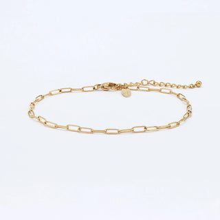 Paperclip Waterproof Chain Bracelet - Pineapple Island