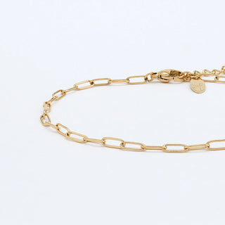 Paperclip Waterproof Chain Bracelet - Pineapple Island