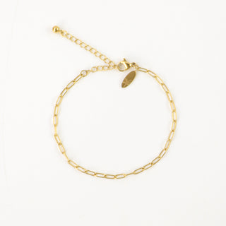 Paperclip Chain Bracelet - Pineapple Island