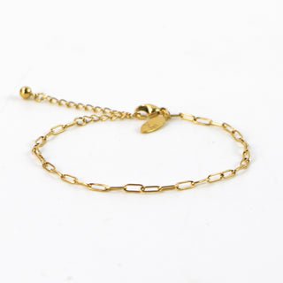 Paperclip Chain Bracelet - Pineapple Island