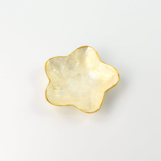 Bali Shell Trinket Dish - Pineapple Island