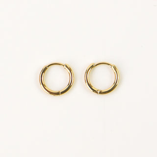 Tiny Huggie Hoop Earrings - Pineapple Island