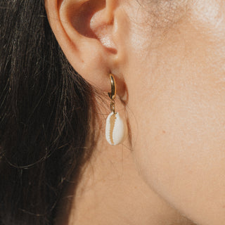 Cowrie Shell Huggie Hoop Earrings - Pineapple Island