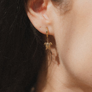 Turtle Hoop Earrings - Pineapple Island