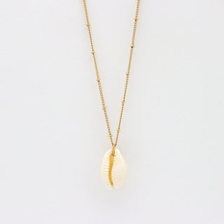 Cowrie Shell Chain Necklace - Pineapple Island