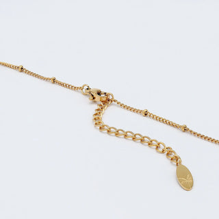 Cowrie Shell Chain Necklace - Pineapple Island