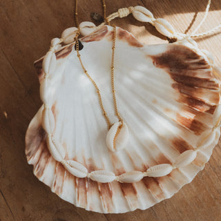 Marisol Golden Cowrie Shell Necklace Stack