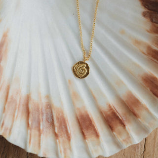 Ammonite Charm Waterproof Necklace