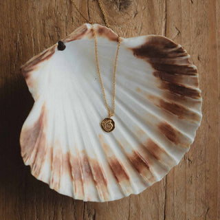 Ammonite Charm Waterproof Necklace