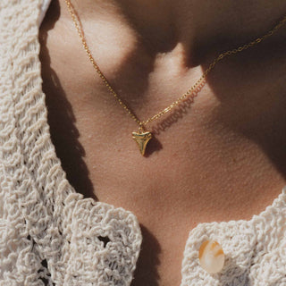 Shark Tooth Necklace - Pineapple Island