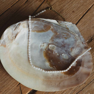 Freshwater Pearl Necklace