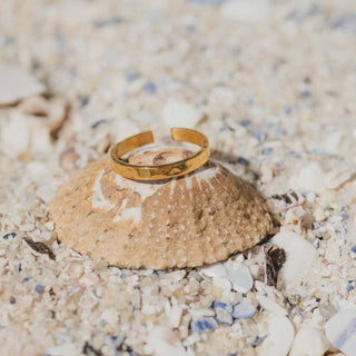 Ma'alahi Minimal Band Ring - Pineapple Island