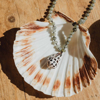 Moon Tide Cone Shell Necklace