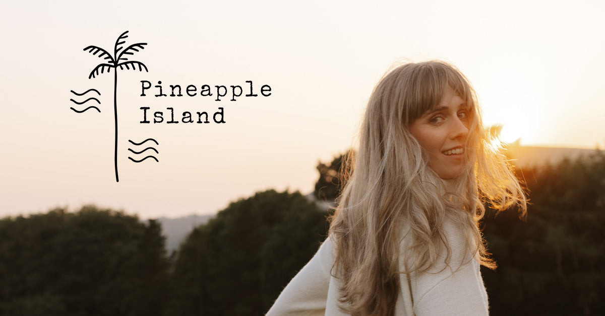 PINEAPPLE ISLAND LIMITED logo