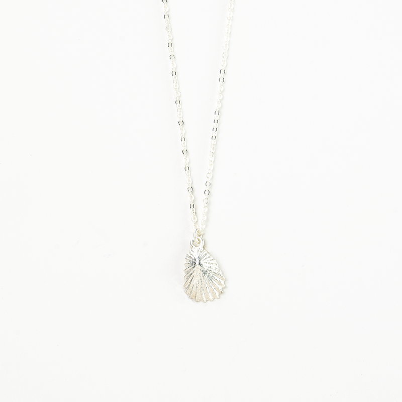 Asri Keyhole Limpet Shell Necklace - Pineapple Island