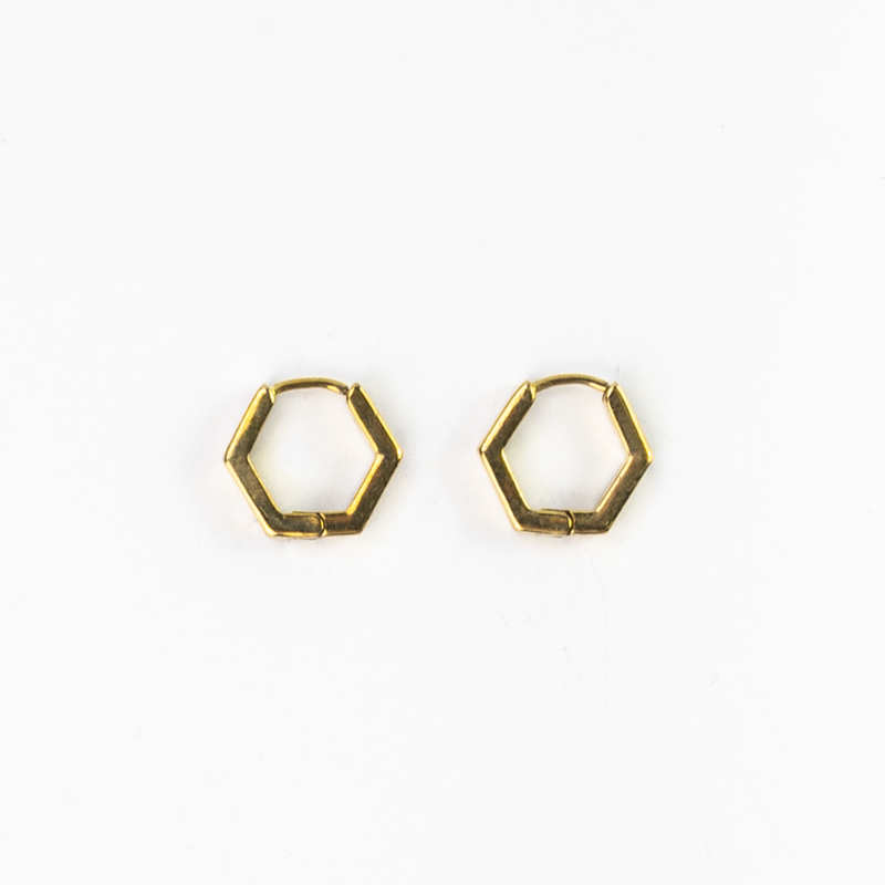Padma Hexagon Hoop Earrings - Pineapple Island