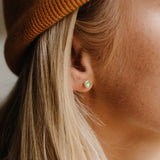 Paua Shell Stud Earrings - Pineapple Island